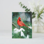 北(鳥)ショウジョウコウカンチョウオス(木)、IL ポストカード (スタンド正面)