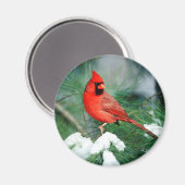 北（鳥）ショウジョウコウカンチョウオス（木）、IL マグネット (正面/裏面)