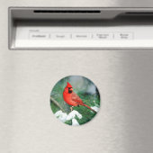 北（鳥）ショウジョウコウカンチョウオス（木）、IL マグネット (インサイチュ (食洗機))