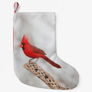 北(鳥)ショウジョウコウカンチョウオン枝 スモールクリスマスストッキング