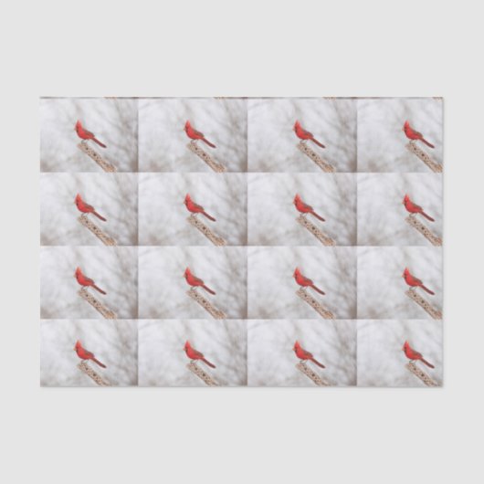 北（鳥）ショウジョウコウカンチョウオン枝 薄葉紙 (正面)