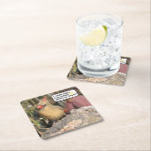北(鳥)ショウジョウコウカンチョウセット(メス) スクエアペーパーコースター (インサイチュ)