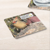 北(鳥)ショウジョウコウカンチョウセット(メス) スクエアペーパーコースター (アングル)