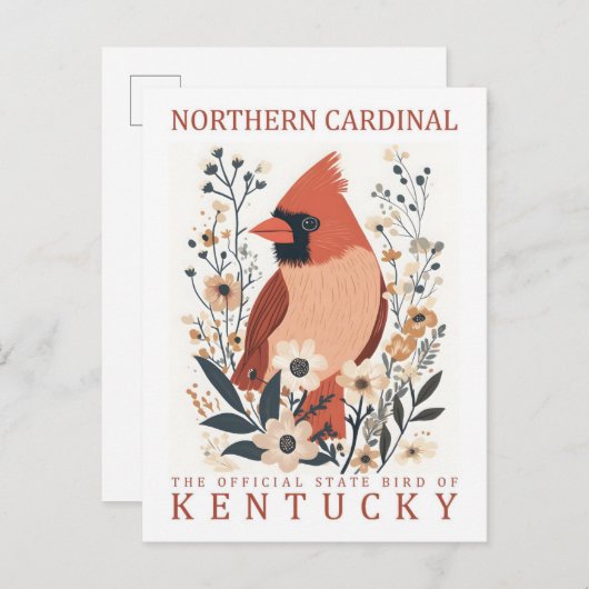 北(鳥)ショウジョウコウカンチョウバードオブケンタッキーUSA Travel ポストカード (正面/裏面)