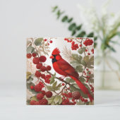 北(鳥)ショウジョウコウカンチョウバードレッドベリー (スタンド正面)