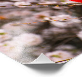 北（鳥）ショウジョウコウカンチョウピンク フォトプリント            (角)