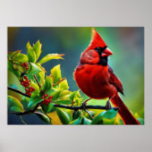 北（鳥）ショウジョウコウカンチョウポスター ポスター (正面)