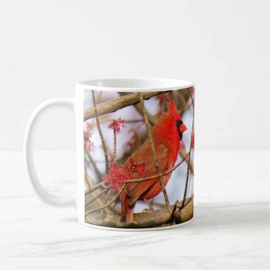 北(鳥)ショウジョウコウカンチョウマグIIバイバーディングコレクティブル コーヒーマグカップ (左)
