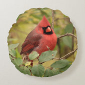 北(鳥)ショウジョウコウカンチョウ両面撮影 ラウンドクッション (正面)