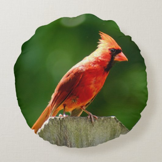 北(鳥)ショウジョウコウカンチョウ両面撮影 ラウンドクッション (裏面)