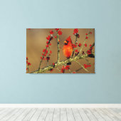 北（鳥）ショウジョウコウカンチョウ男性のIL キャンバスプリント (インサイチュ (ウッドフロア))