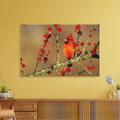 北（鳥）ショウジョウコウカンチョウ男性のIL キャンバスプリント (インサイチュ (リビング))