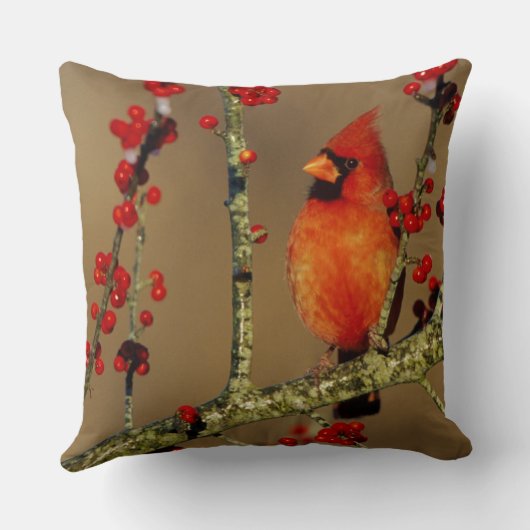 北(鳥)ショウジョウコウカンチョウ男性のIL クッション (裏面)