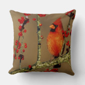 北(鳥)ショウジョウコウカンチョウ男性のIL クッション (正面)