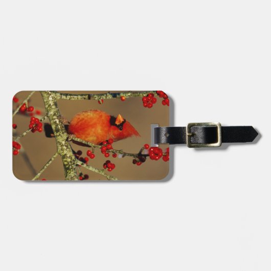 北(鳥)ショウジョウコウカンチョウ男性のIL ラゲッジタグ (正面横)