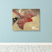 北(鳥)ショウジョウコウカンチョウ飛行中 キャンバスプリント (インサイチュ (ウッドフロア))