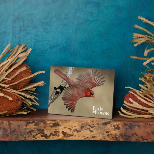 北(鳥)ショウジョウコウカンチョウ飛行中 フォトプラーク (側面)