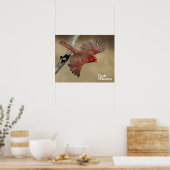 北（鳥）ショウジョウコウカンチョウ飛行中 ポスター (キッチン)