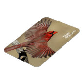 北（鳥）ショウジョウコウカンチョウ飛行中 マグネット (左側)