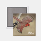 北(鳥)ショウジョウコウカンチョウ飛行中 マグネット (正面/裏面)