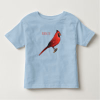 北(鳥)ショウジョウコウカンチョウ鳥の漫画イラストレーション