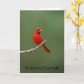 北（鳥）ショウジョウコウカンチョウ カード (黄色い花)