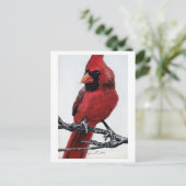 北（鳥）ショウジョウコウカンチョウ シーズンポストカード (スタンド正面)