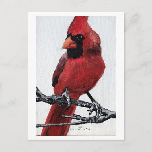 北（鳥）ショウジョウコウカンチョウ シーズンポストカード (正面)