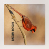 北(鳥)ショウジョウコウカンチョウ ジグソーパズル (横)