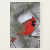 北（鳥）ショウジョウコウカンチョウ プランナー手帳 (裏面)