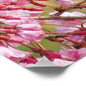 北(鳥)ショウジョウコウカンチョウ ポスター (角)