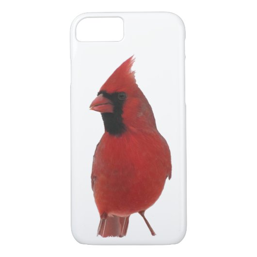 北(鳥)ショウジョウコウカンチョウiPhone 8/7ケース Case-Mate iPhoneケース (裏面)