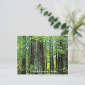 北CAポストカードのレッドウッズ ポストカード (スタンド正面)