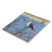 北Mockingbirdフォトタイル タイル (側面)