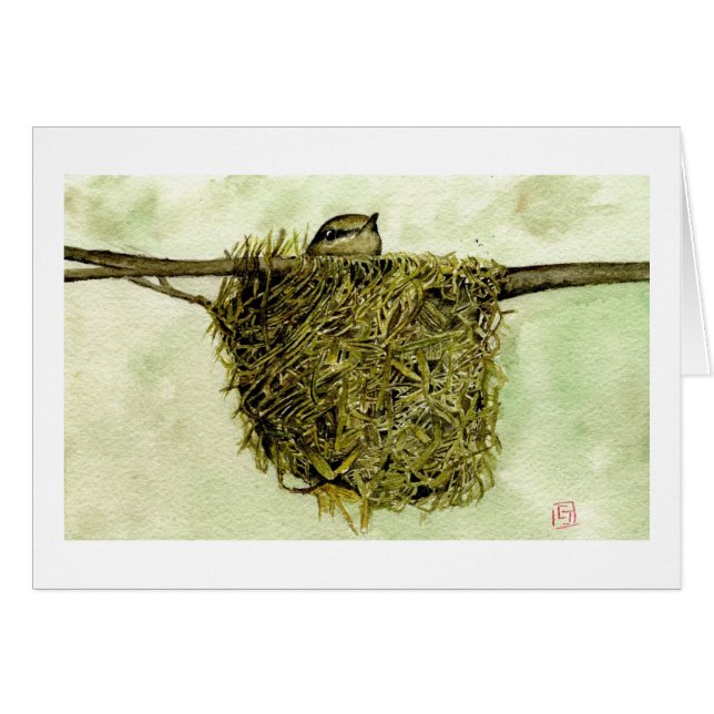 北Parulaの巣 (正面横)