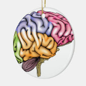 区分される人間の脳の解剖学 セラミックオーナメント (左)