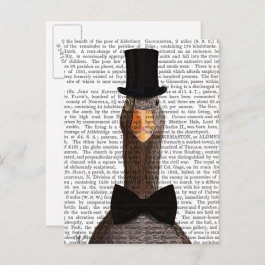 区別2 ポストカード (正面/裏面)