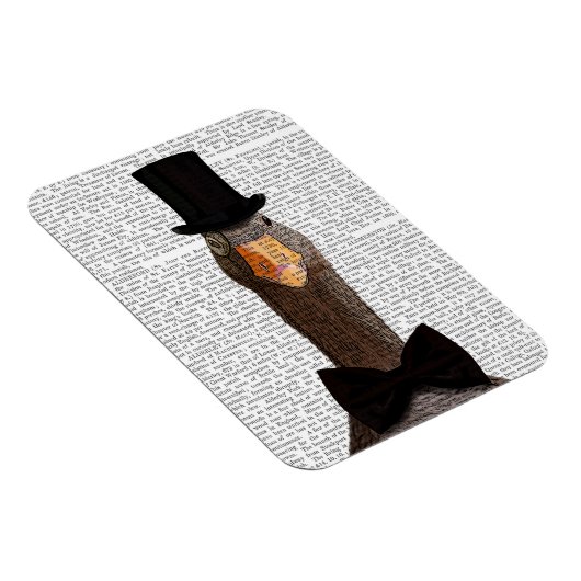 区別2 マグネット (右側)