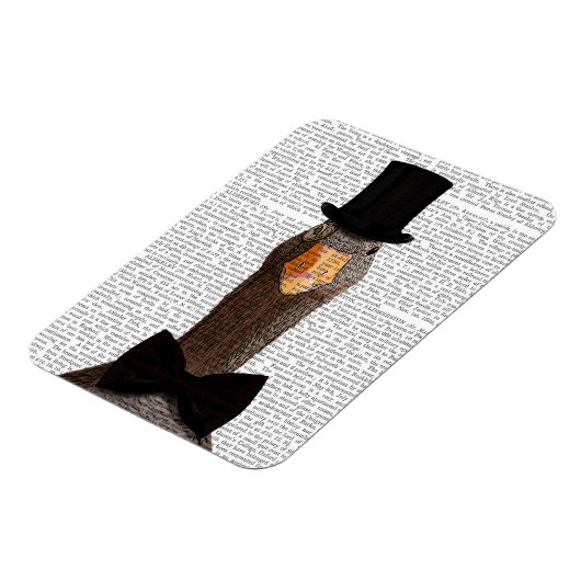 区別2 マグネット (左側)