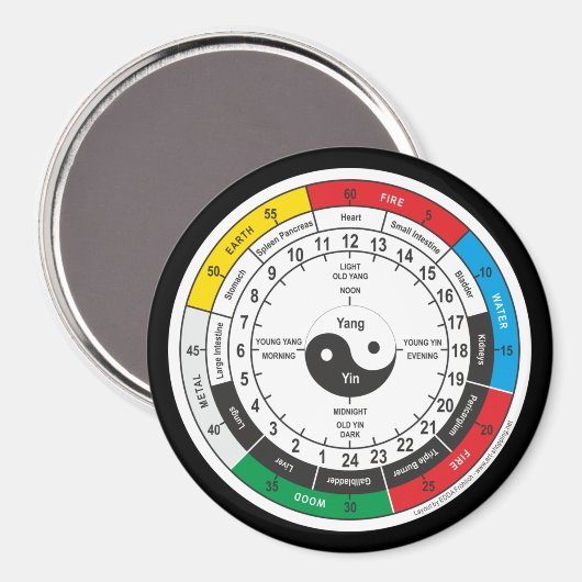 医伝統的中国の薬体時計TシャツSh マグネット (正面/裏面)