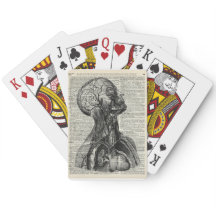 医学の人間の解剖学