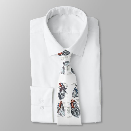 医学の心臓学のタイ ネクタイ (タイ)