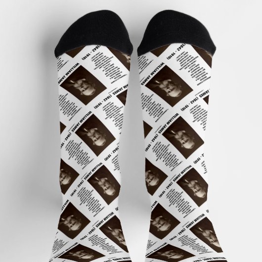 医学心理学の哲学ウィリアム・ジェームス引用文 ソックス (上部)