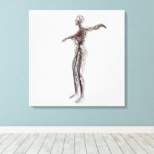 医学的イラストレーションの女性動脈、静脈 キャンバスプリント (インサイチュ (ウッドフロア))