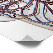 医学的イラストレーションの女性胸動脈 ポスター (角)