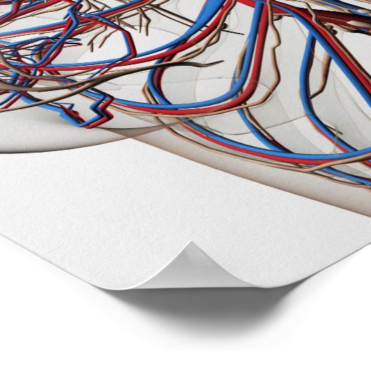 医学的イラストレーションの女性胸動脈 ポスター (角)