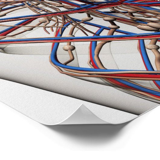 医学的イラストレーションの女性胸動脈 ポスター (角)