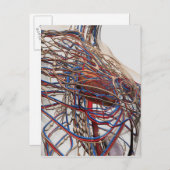 医学的イラストレーションの女性胸動脈 ポストカード (正面/裏面)