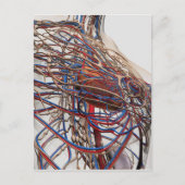 医学的イラストレーションの女性胸動脈 ポストカード (正面)