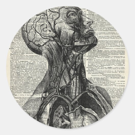 医学的ヒト解剖学 ラウンドシール (正面)